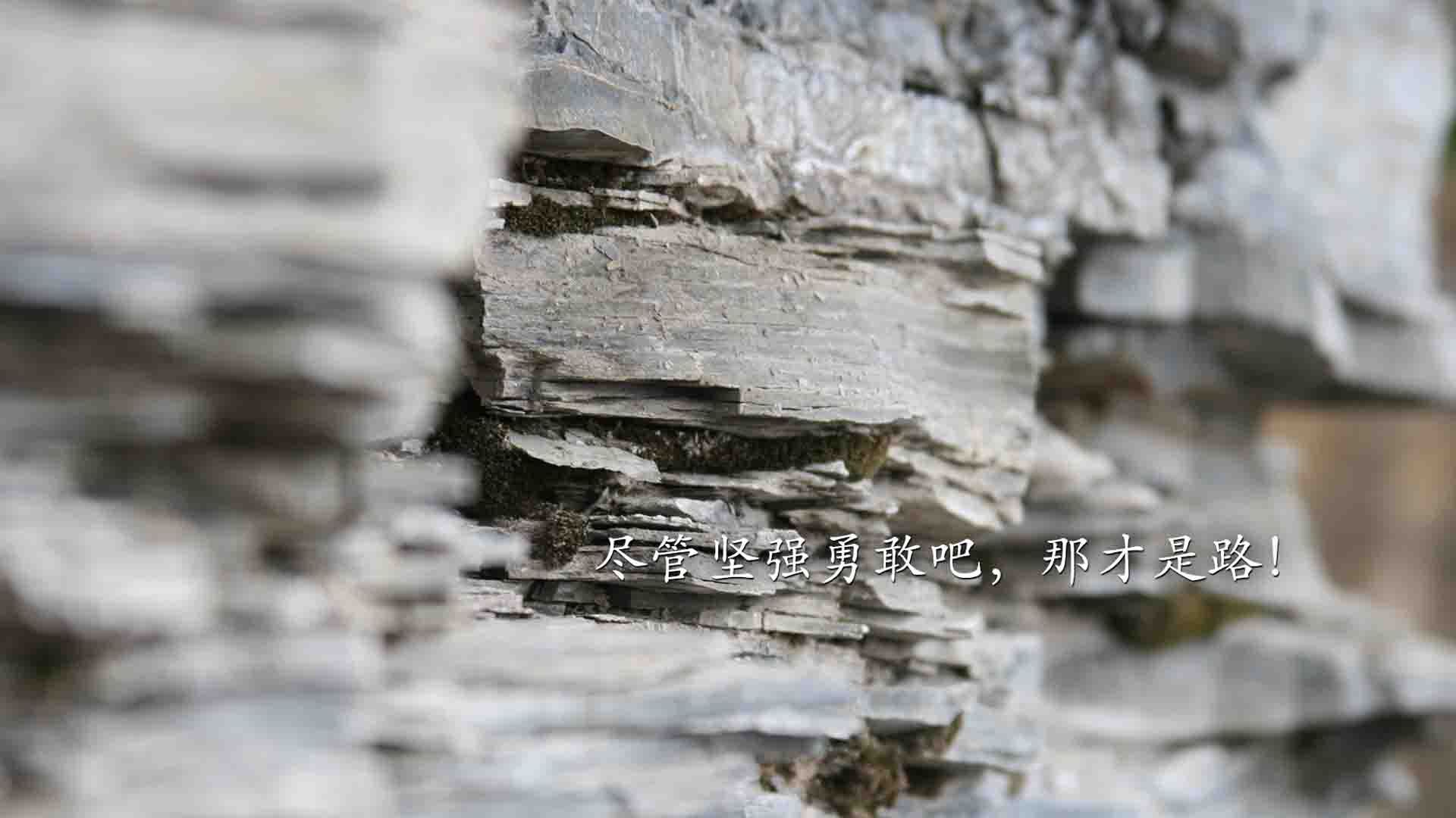 b体育app-全面提升青少年裁判“实战+培训”体系，行业公平公正日益巩固，青少年足球裁判员培训
