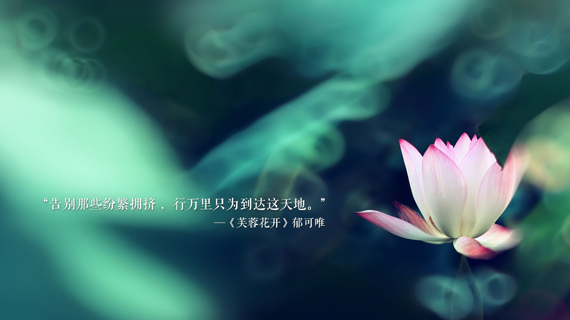 BSPORT APP-公开赛季：球队的交易和引援大盘点，2021球员交易