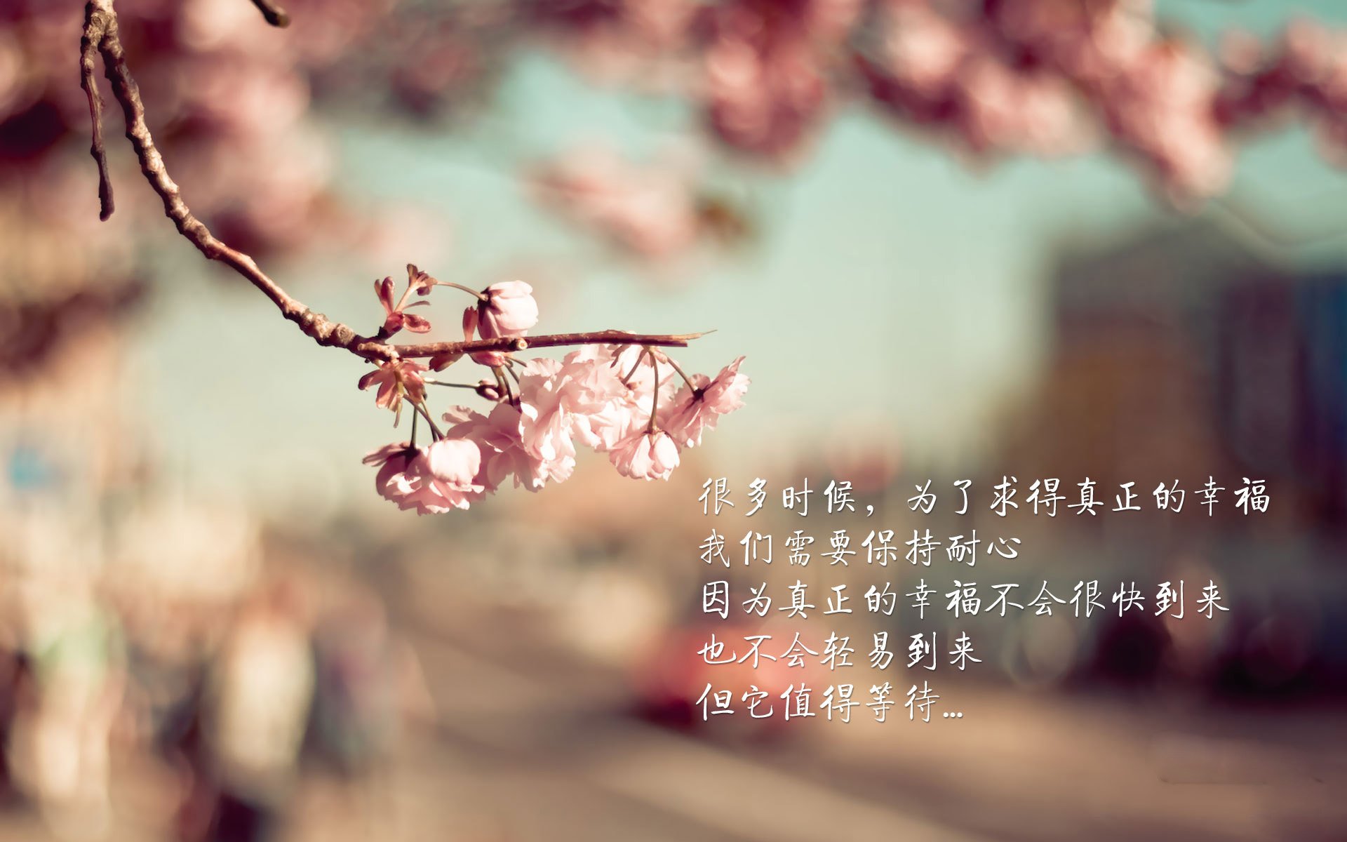 山西汾酒球队攻防效率显著提升，山西汾酒队战绩