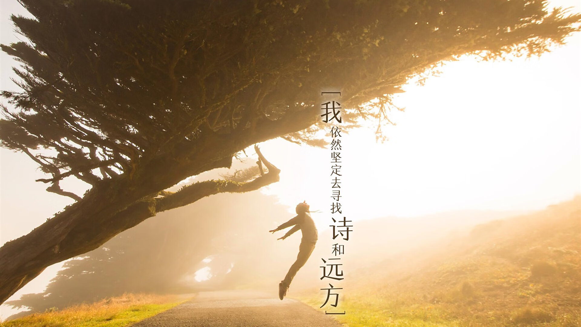 败局中寻找胜利之路，全队凝聚合作精神，失败中寻找胜利