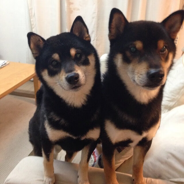 中国三人篮球女队提升终结能力,中国三人篮球女队员名单