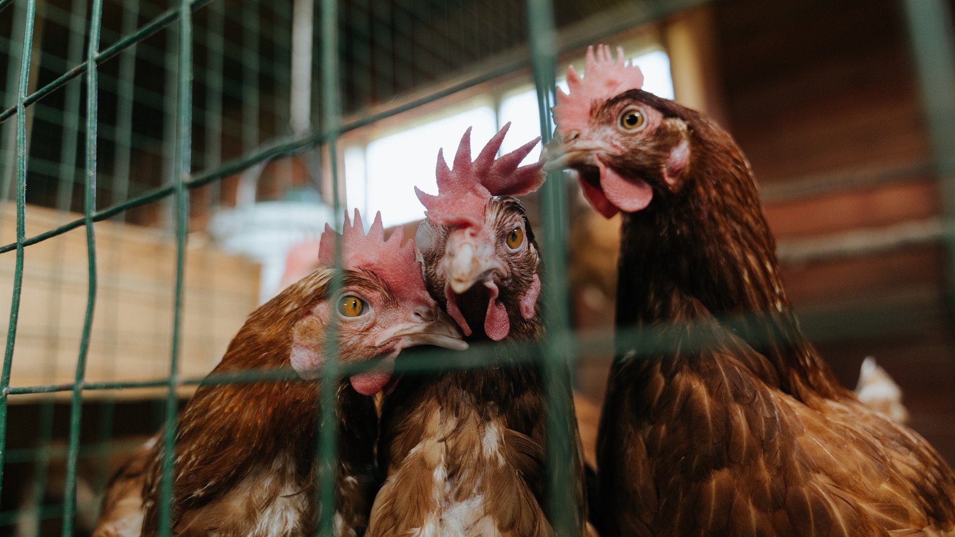 b体育入口-体育新闻中心推动体育短视频版权多渠道保护，体育短视频平台