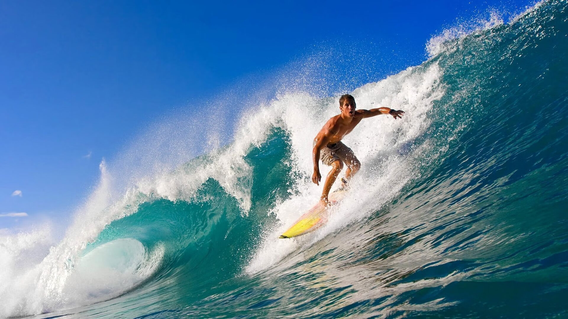 Bsports在线平台-南非羚羊队：进攻的精准传递与防守的全面覆盖让对手难以突破，南非羚羊角