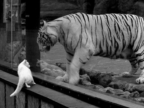 拉恩:凭借加速和敏锐的判断,他成为全黑队反击战术中的核心球员