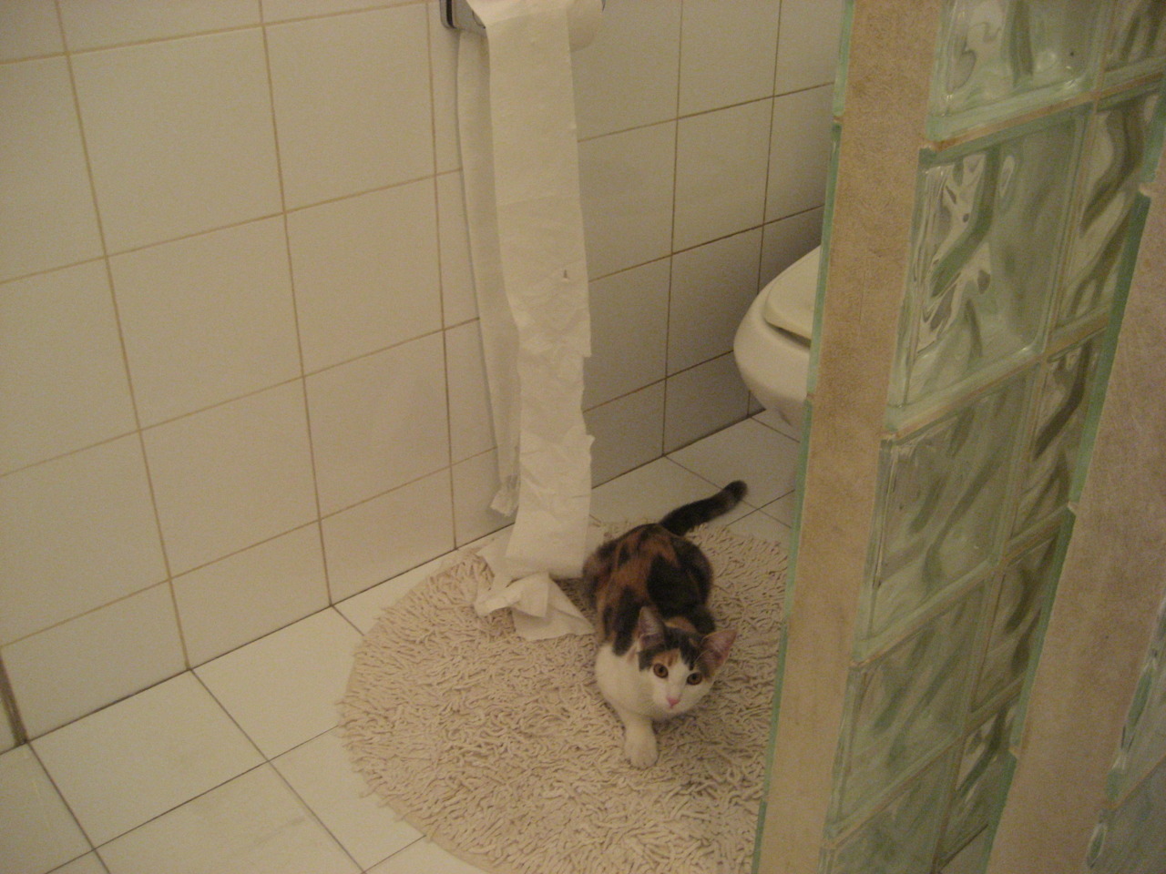 斯洛伐克女篮在欧洲预赛中表现出色,期待奥运资格的到来,斯洛伐克女子篮球锦标赛