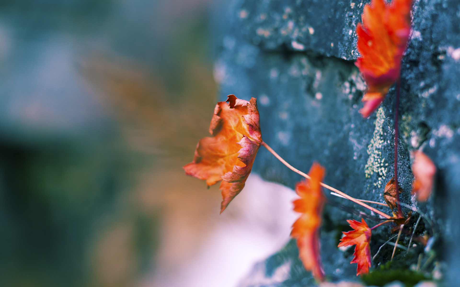 B体育-西班牙青年队在欧洲大赛中表现抢眼，潜力无限