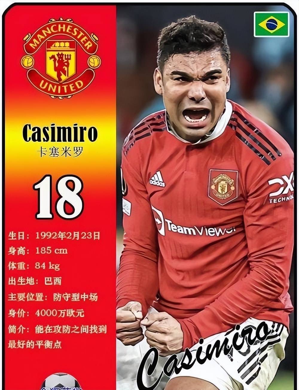 b体育下载:德甲的历史回顾：辉煌与艰辛并存的简单介绍